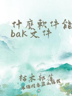 什么软件能打开bak文件