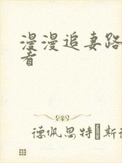 漫漫追妻路免费看