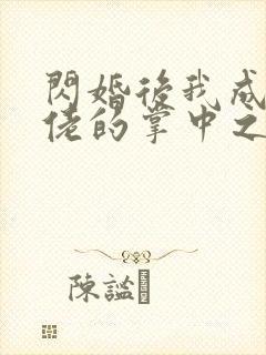 闪婚后我成为大佬的掌中之物