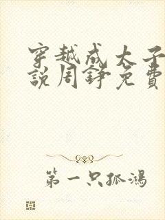 穿越成太子的小说周铮免费阅读