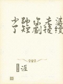 少帅你老婆又跑了短剧后续