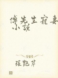 傅先生宠妻无度 小说