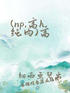 (np,高h,纯肉)高