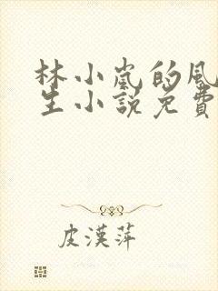 林小岚的风流人生小说免费观看全文