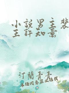 小说男主裴衍女主许知意