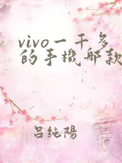 vivo一千多的手机哪款好