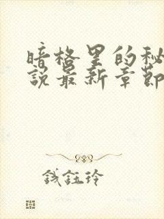 暗格里的秘密小说最新章节