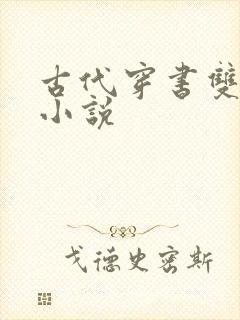 古代穿书双男主小说