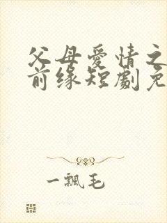 父母爱情之再续前缘短剧免费播放
