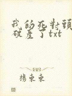 我的死对头终于破产了txt