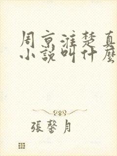 周京淮楚真原著小说叫什么名字