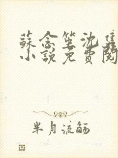 苏念笙沈隽西的小说免费阅读