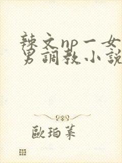 辣文np一女多男调教小说