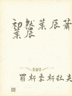 初然叶辰萧初然叶辰