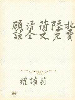 顾清荷陆北舟小说全文免费阅读全文