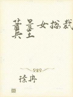 萧晨女总裁全能兵王