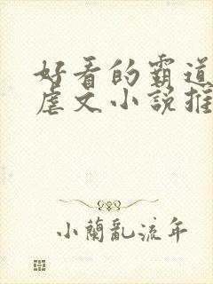 好看的霸道总裁虐文小说推荐