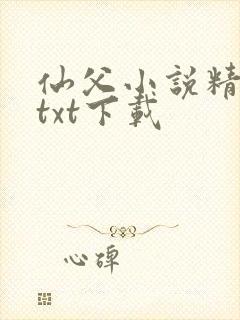 仙父小说精校版txt下载