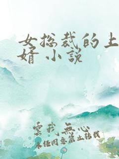 女总裁的上门女婿 小说