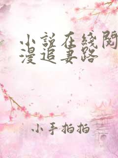 小说在线阅读漫漫追妻路