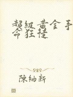 超级黄金手 夺命狂徒