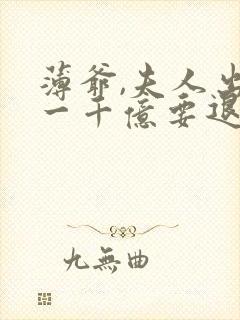 薄爷,夫人出价一千亿要退婚 小说下载txt