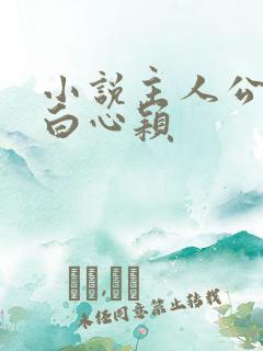 小说主人公李泽白心颖