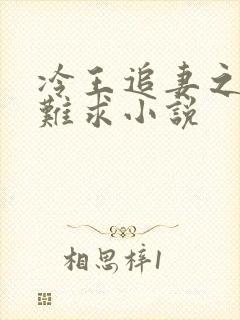 冷王追妻之医妃难求小说