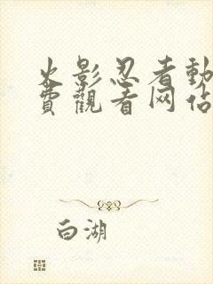 火影忍者动漫免费观看网站