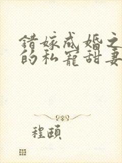 错嫁成婚之总裁的私宠甜妻