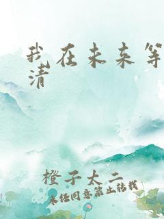 我在未来等你高清