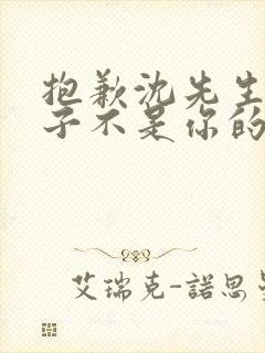 抱歉沈先生,孩子不是你的全集免费