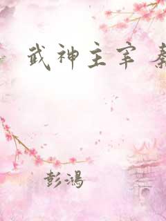 武神主宰 秦尘