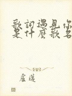 歌词遇见你的我是什么歌名