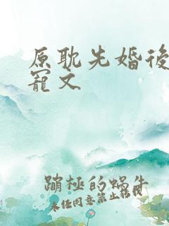 原耽先婚后爱甜宠文