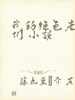 我的绝色老板娘们 小说