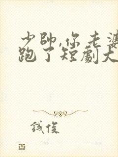 少帅,你老婆又跑了短剧大结局