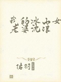 我的冰山女总裁老婆沈浪