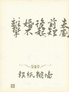 离婚后前夫他高攀不起短剧全集免费播放
