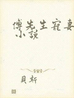 傅先生宠妻无度 小说