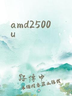 amd2500u