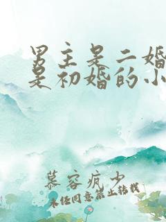 男主是二婚女主是初婚的小说