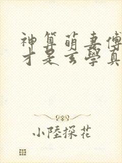 神算萌妻傅太太才是玄学真大佬