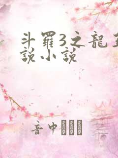 斗罗3之龙王传说小说