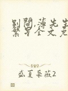 别闹,薄先生沈繁星全文免费阅读