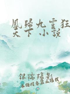 凤归九霄狂妃逆天下 小说