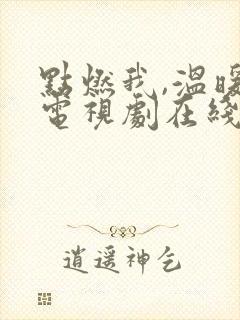 点燃我,温暖你电视剧在线观看免费观看全集