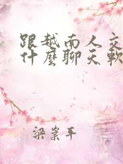 跟越南人交流用什么聊天软件