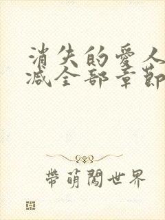 消失的爱人无删减全部章节