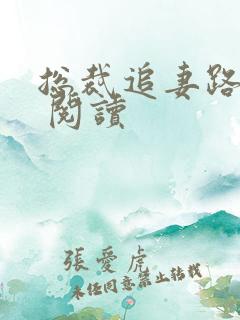 总裁追妻路漫漫 阅读